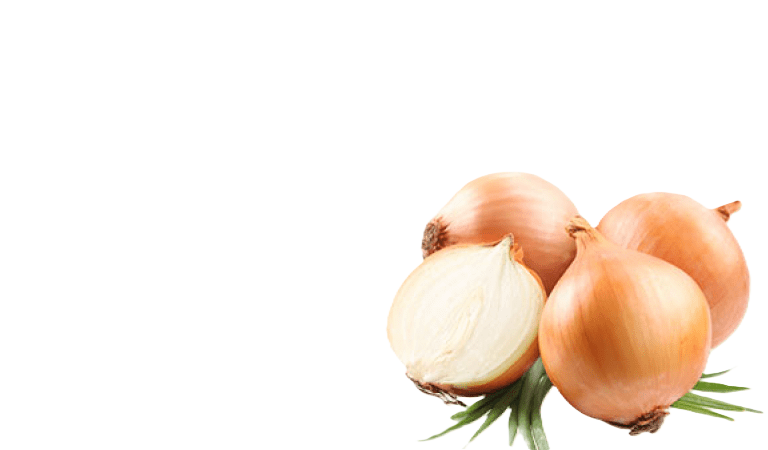 Fresh onions and vegetables