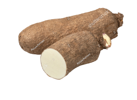 Yam tubers